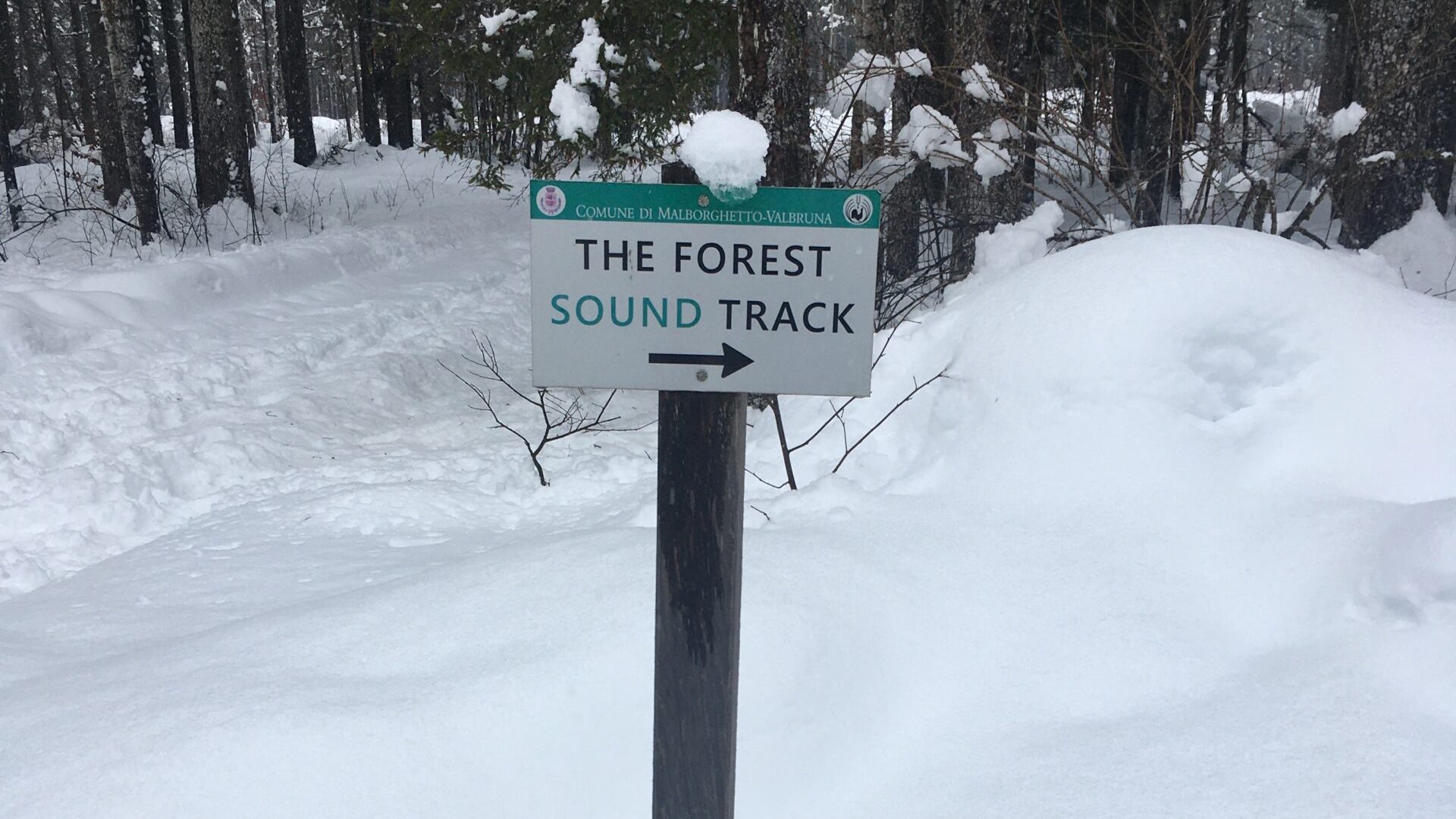 Foresta della Val Saisera innevata, Malborghetto, Tarvisio - indicazione per il percorso the Forest Sound TRack