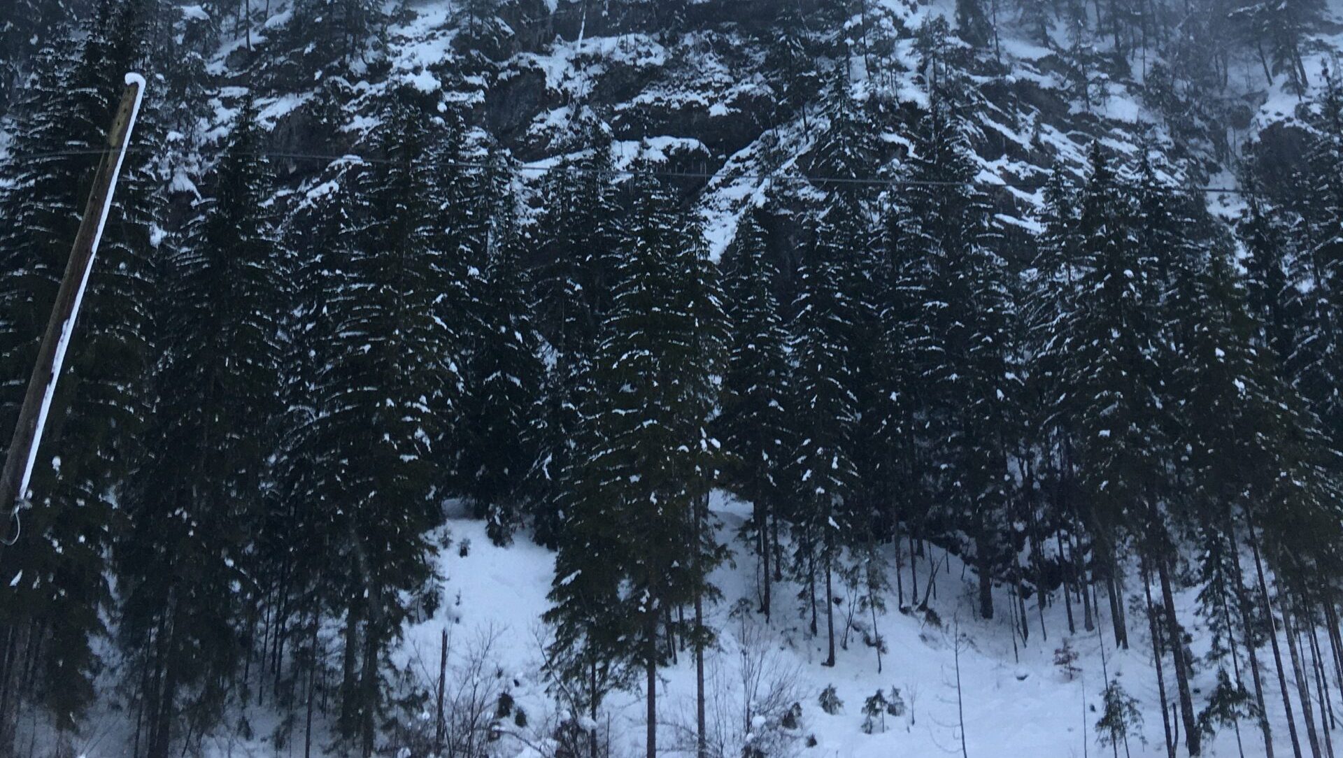 Foresta della Val Saisera innevata, Malborghetto, Tarvisio