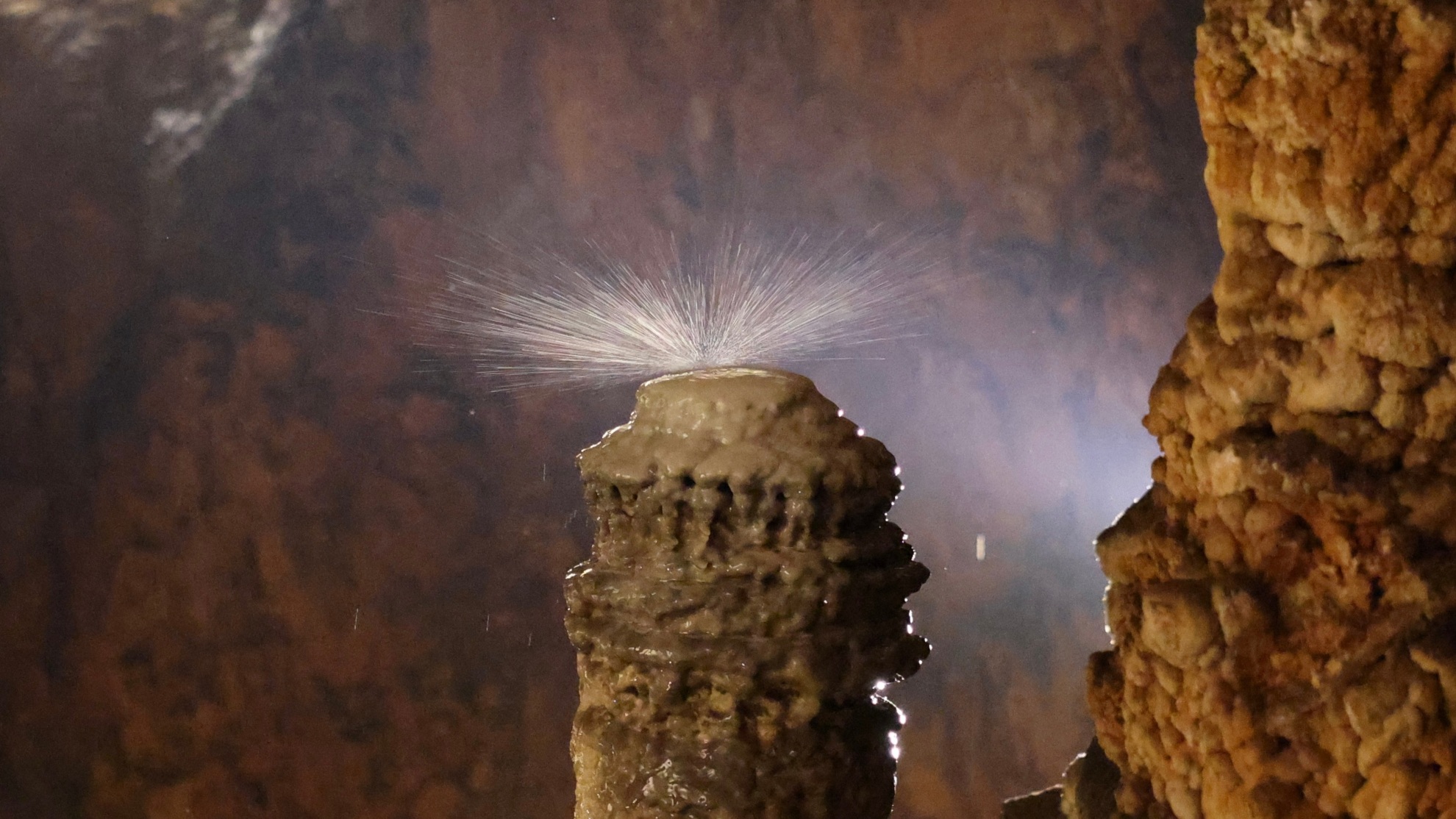 La Grotta Gigante - goccia su stalagmite - foto di Lara Carrer
